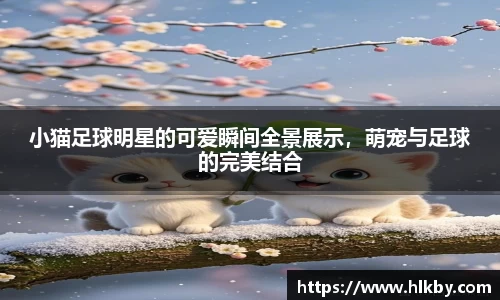 小猫足球明星的可爱瞬间全景展示，萌宠与足球的完美结合